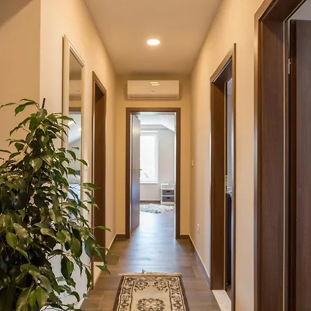Apartman Three Bedroom Spacious Petrunjela *